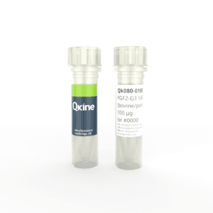 Qk080 bovine porcine FGF2-G3 145 aa vial image