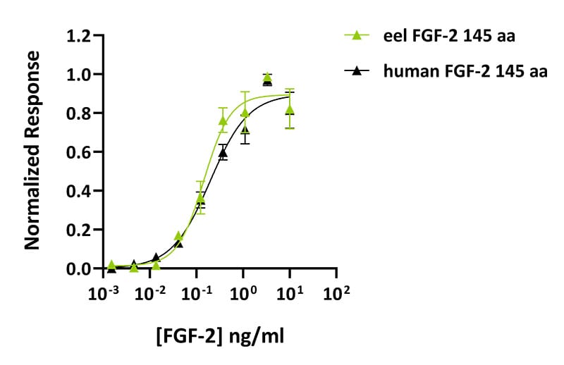Qk106 eel human FGF 2 Datasheet graph Comparison