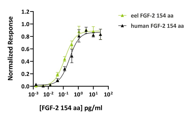 Qk107 eel human FGF 2 Comapriosn