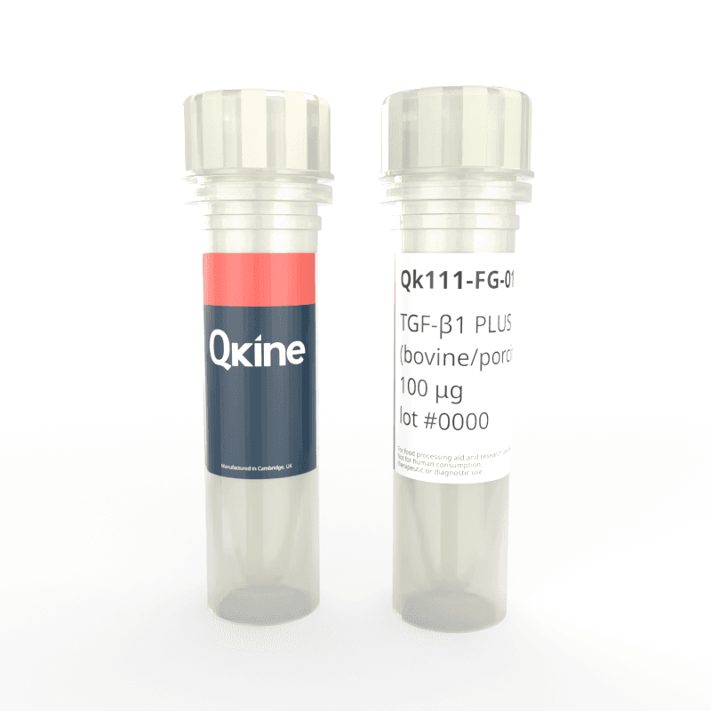 Qk111-FG bpTGF-b1 vial image