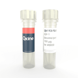 Qk113-FG IGF-2 vial image