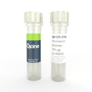 Qk121 bovine vitronectin vial image