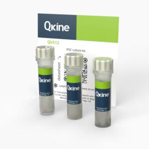 iPSC culture kit (Qk512) image