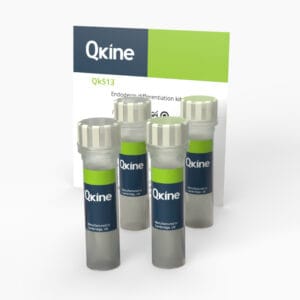 Endoderm differentiation kit (Qk513) image