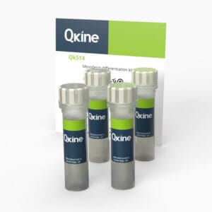 Mesoderm differentiation kit (Qk514) image