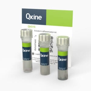 Ectoderm differentiation kit (Qk515) image
