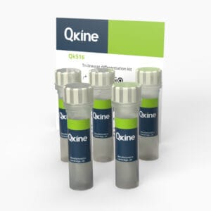 Tri-lineage differentiation kit (Qk516) image