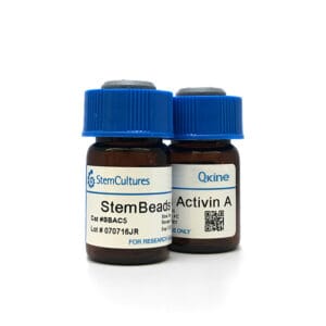 StemBeads® Qkine activin A image