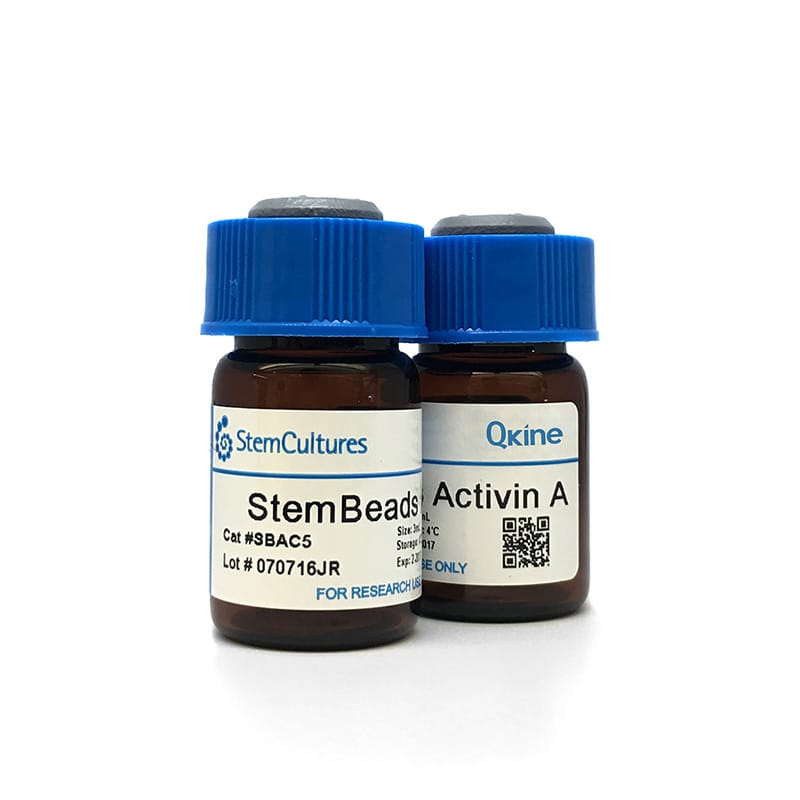 Qkine StemBeads Activin A (2) ADJ1 800