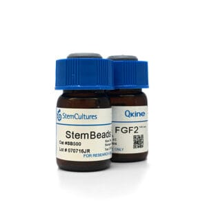StemBeads® Qkine FGF-2 145 aa image