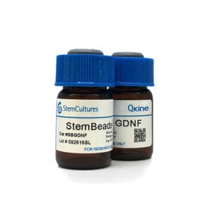 StemBeads® Qkine GDNF image