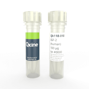 Recombinant human IGF-2 protein (Qk118) image