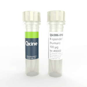 Vial image R-spondin 1