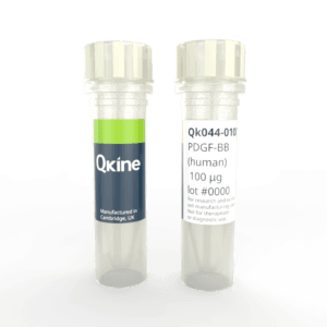 Recombinant human PDGF-BB protein (Qk044) image
