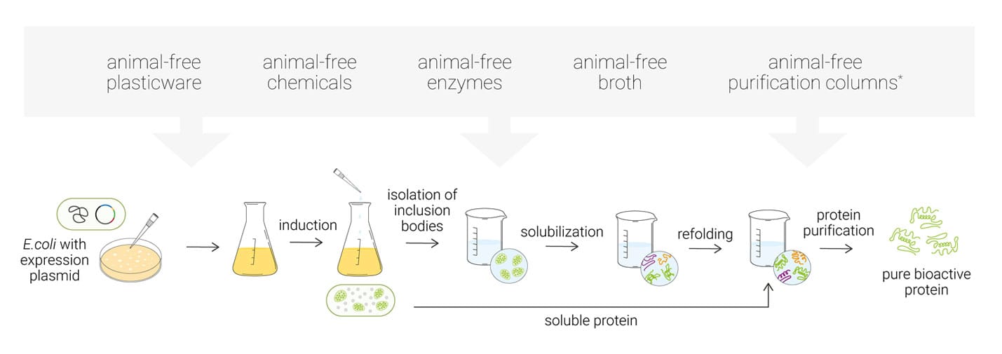 manufacture-process-simple-1500 (1)