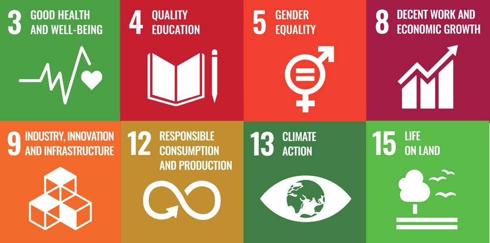 un-sustainability-goals