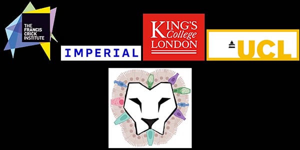 LION logos