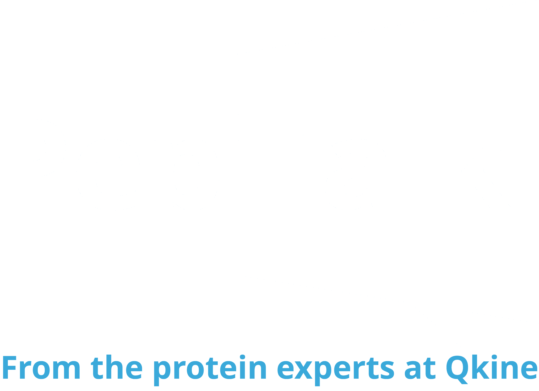 Pep talk logo v1.5 white for dark backgorund