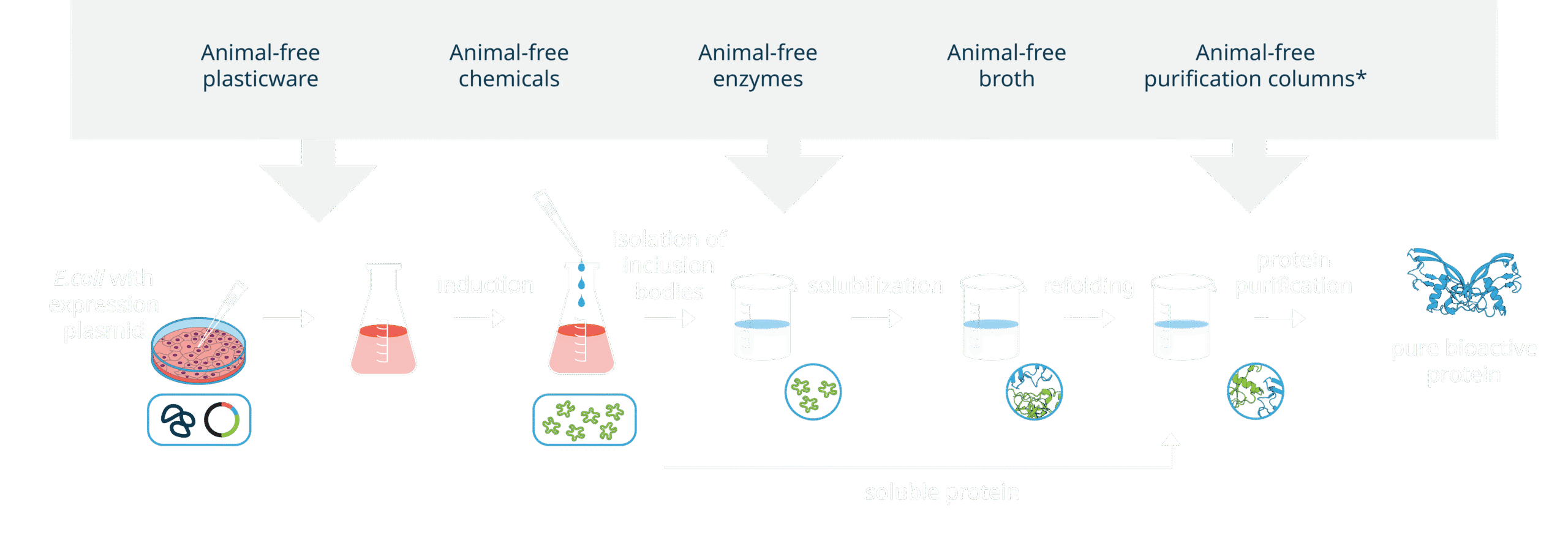 Animal free web graphic