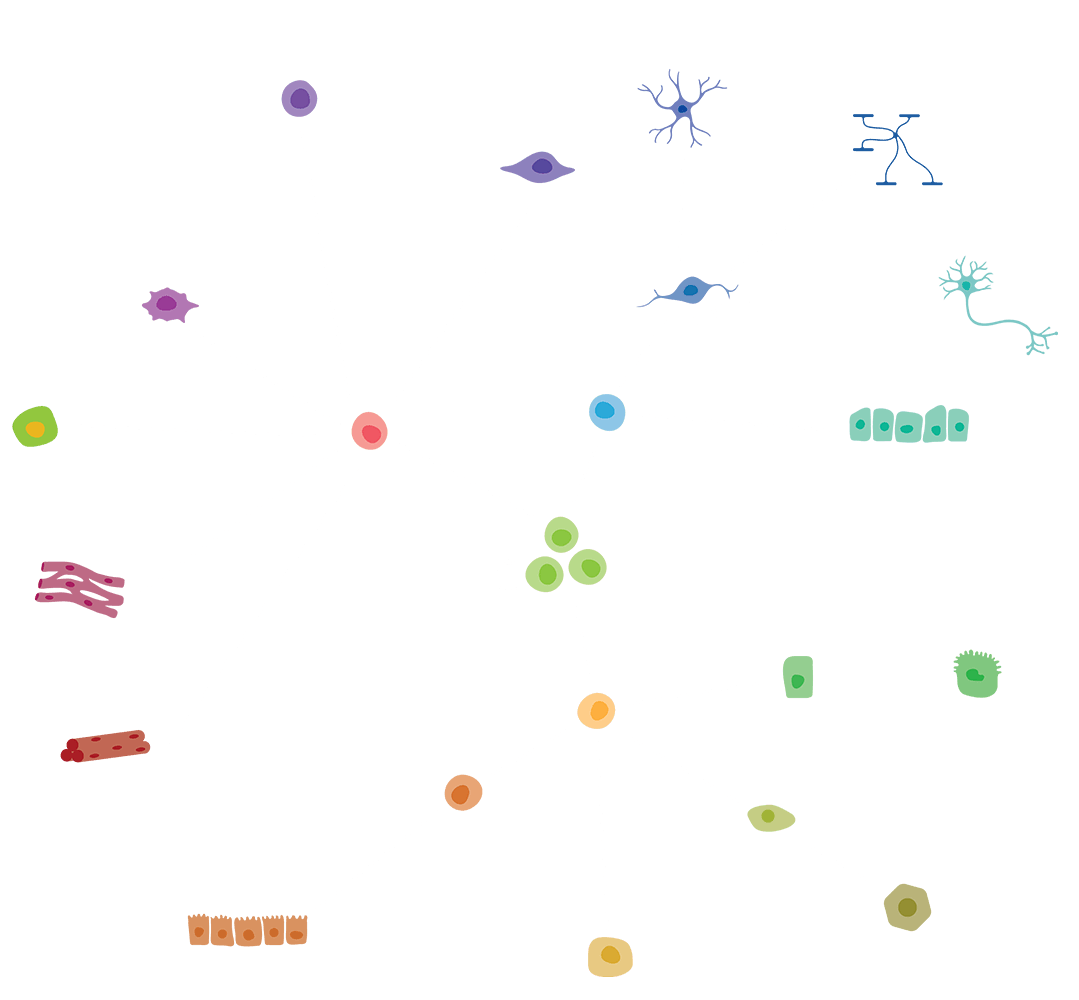Neural graphic