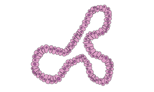 Breast organoid category web image