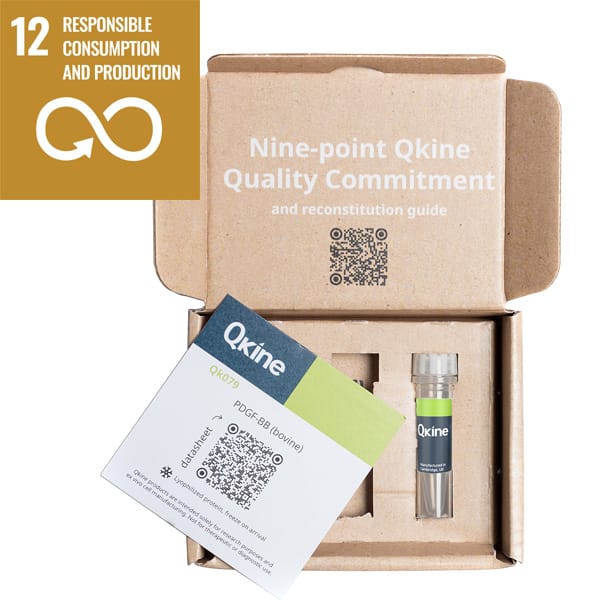 goal12-Qkine image 600