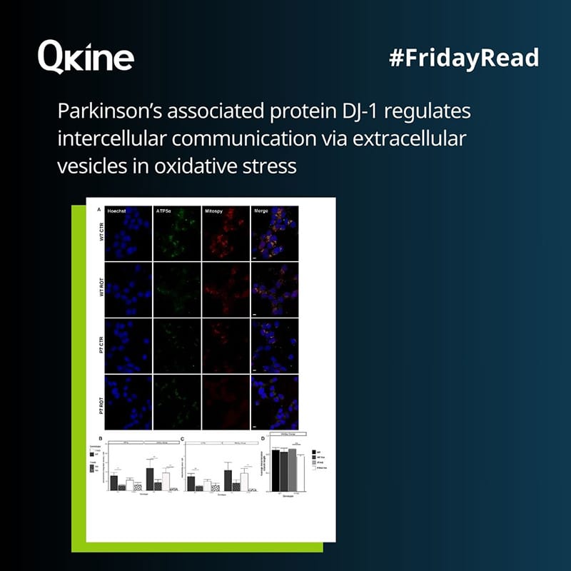 #FridayRead 20 June 2025 image