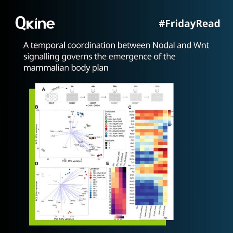 #FridayRead 13 June 2025 image