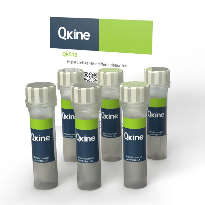 Qk518 800x800