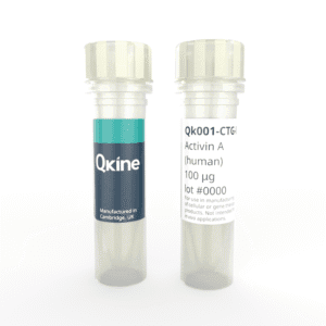 Recombinant human activin A protein (Qk001-CTG) image