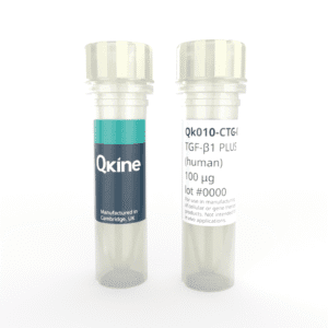 Recombinant human TGF-β1 PLUS™ protein (Qk010-CTG) image