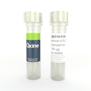 Recombinant mouse/rat activin A PLUS™ protein (Qk014) image