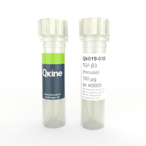 Recombinant mouse TGF-β3 protein (Qk019) image
