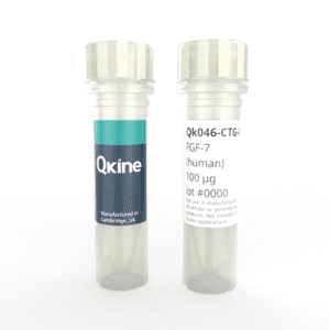 Recombinant human KGF (FGF-7) protein (Qk046-CTG) image