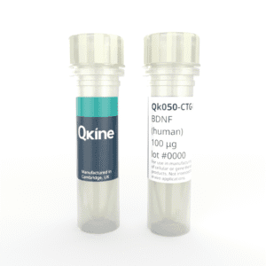 Recombinant human BDNF protein (Qk050-CTG) image