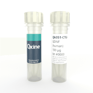 Recombinant human GDNF protein (Qk051-CTG) image