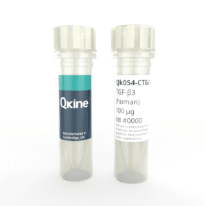 Recombinant human TGF-β3 protein (Qk054-CTG) image
