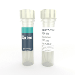 Recombinant human FGF-8b protein (Qk057-CTG) image