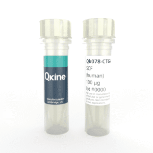 Recombinant human SCF protein (Qk078-CTG) image