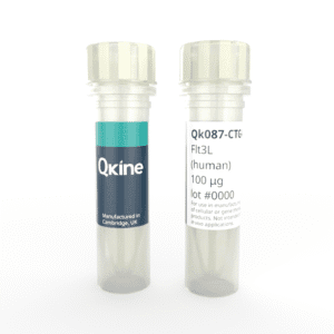 Recombinant human Flt3L protein (Qk087-CTG) image