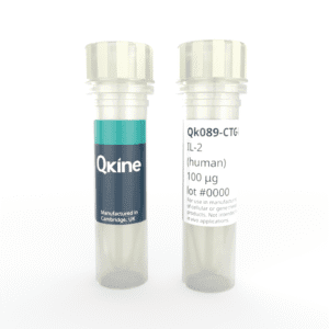 Recombinant human IL-2 protein (Qk089-CTG) image