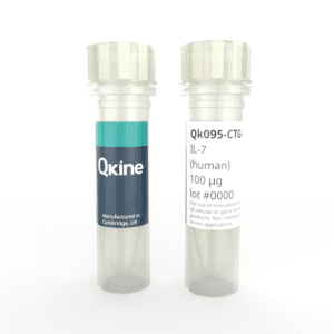 Recombinant human IL-7 protein (Qk095-CTG) image