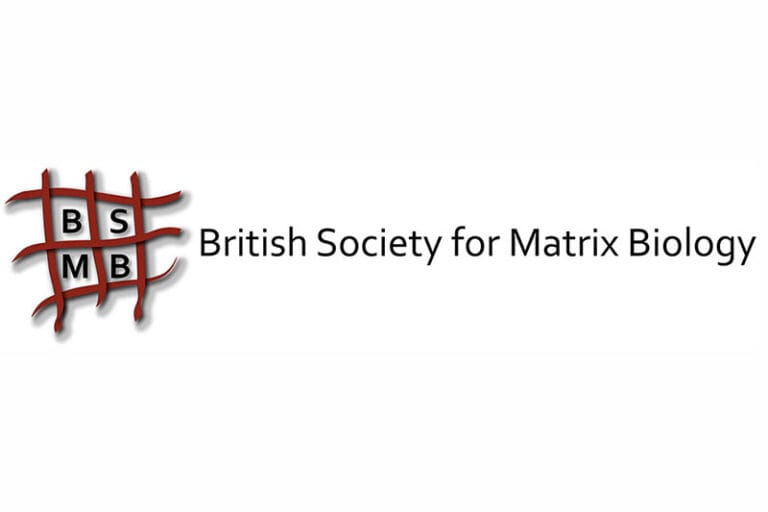 BSMB logo 800x500 1