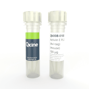 Recombinant mouse activin E PLUS™ (Avi-tag) protein (Qk008) image