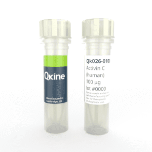 Recombinant human activin C protein (Qk026) image