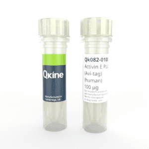 Recombinant human activin E PLUS™ (Avi-tag) protein (Qk082) image