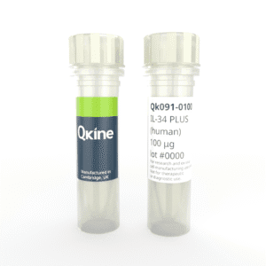 Recombinant human IL-34 PLUS™ protein (Qk091) image