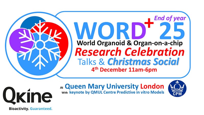 WORD Celebration 800