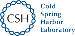 CSHL