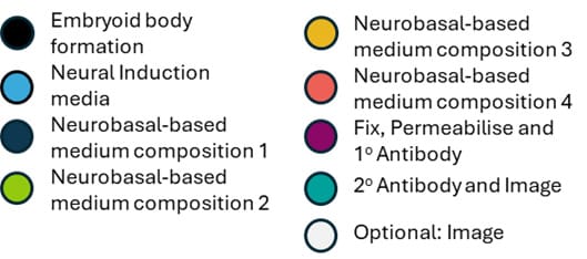 Figure 1 key